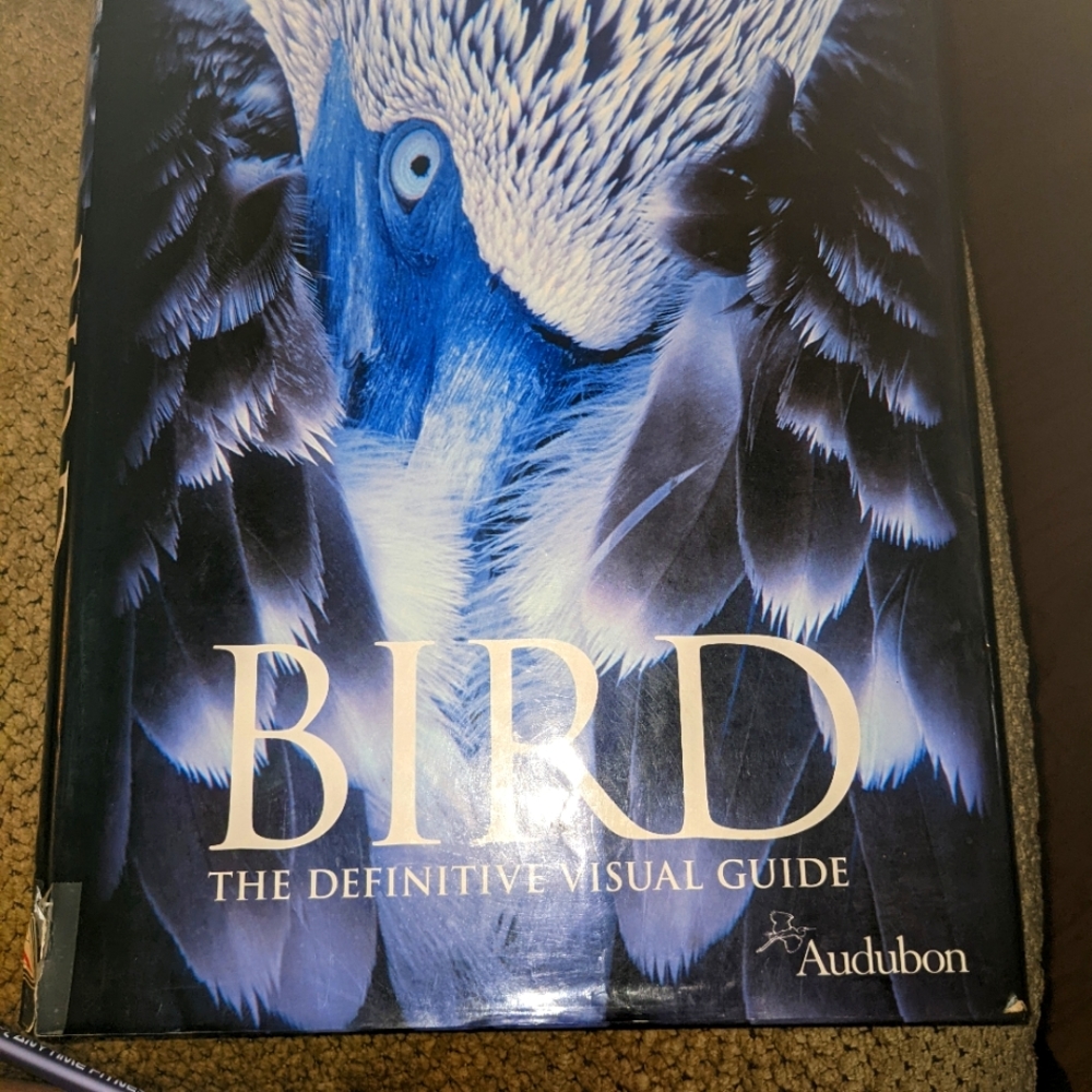 Coffee table book